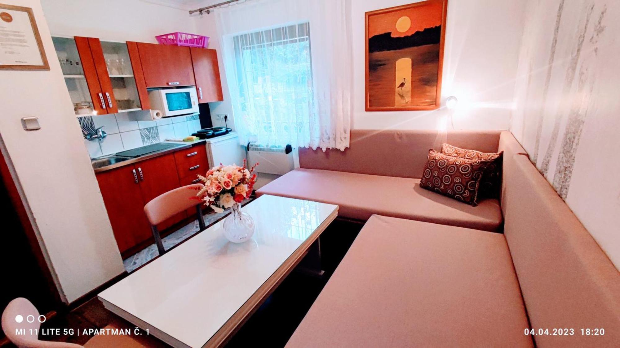 Penzion Pohoda - Apartmany เยเซนิค ภายนอก รูปภาพ